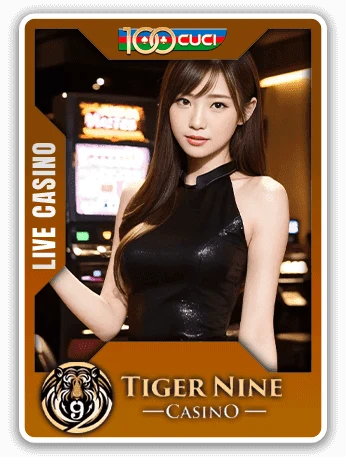 Tiger Nine Casino provider logo