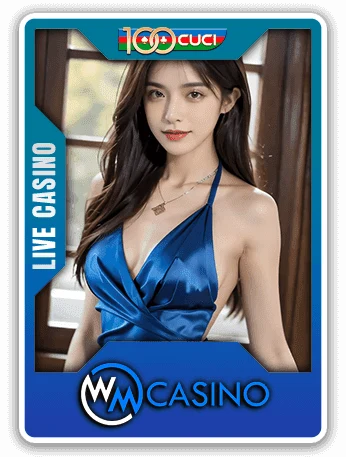 WM Casino provider logo